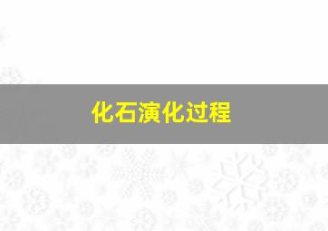 化石演化过程