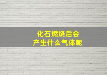 化石燃烧后会产生什么气体呢