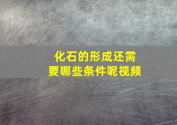 化石的形成还需要哪些条件呢视频