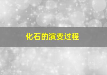 化石的演变过程