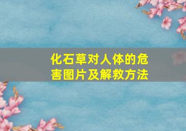 化石草对人体的危害图片及解救方法