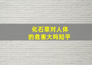 化石草对人体的危害大吗知乎