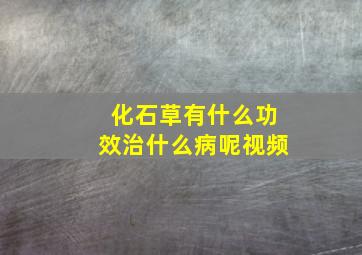 化石草有什么功效治什么病呢视频