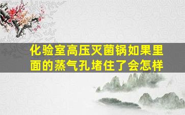 化验室高压灭菌锅如果里面的蒸气孔堵住了会怎样