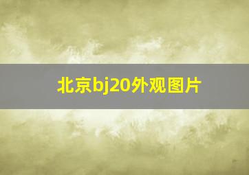 北京bj20外观图片