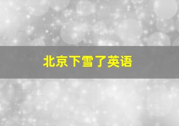 北京下雪了英语