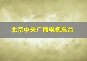 北京中央广播电视总台