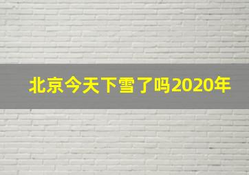 北京今天下雪了吗2020年