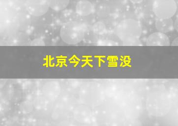 北京今天下雪没