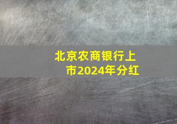 北京农商银行上市2024年分红