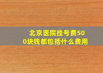 北京医院挂号费500块钱都包括什么费用