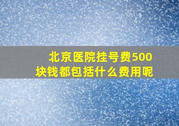 北京医院挂号费500块钱都包括什么费用呢