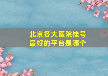 北京各大医院挂号最好的平台是哪个