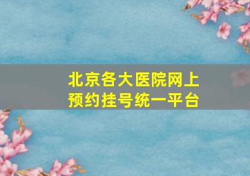 北京各大医院网上预约挂号统一平台