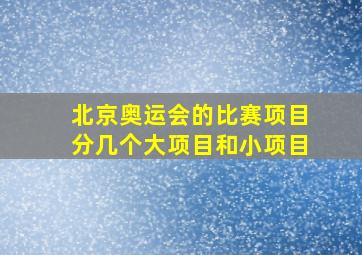 北京奥运会的比赛项目分几个大项目和小项目