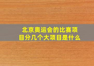 北京奥运会的比赛项目分几个大项目是什么