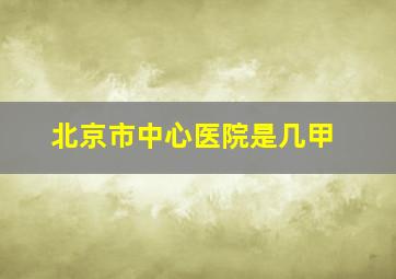 北京市中心医院是几甲