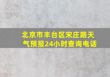 北京市丰台区宋庄路天气预报24小时查询电话