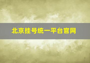 北京挂号统一平台官网