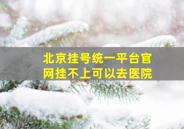 北京挂号统一平台官网挂不上可以去医院