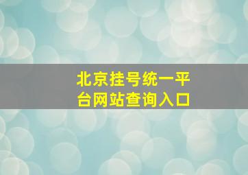 北京挂号统一平台网站查询入口