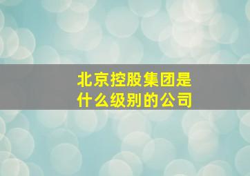 北京控股集团是什么级别的公司