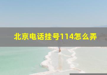 北京电话挂号114怎么弄