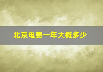 北京电费一年大概多少