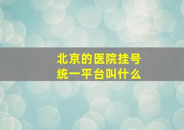 北京的医院挂号统一平台叫什么