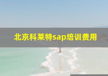 北京科莱特sap培训费用