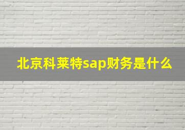 北京科莱特sap财务是什么