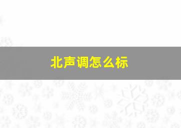 北声调怎么标