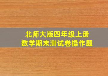 北师大版四年级上册数学期末测试卷操作题