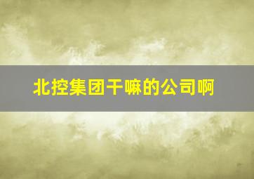 北控集团干嘛的公司啊