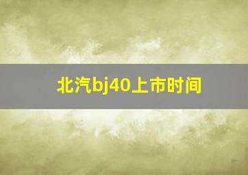 北汽bj40上市时间