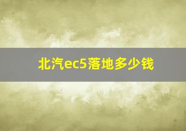 北汽ec5落地多少钱