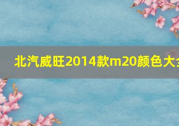 北汽威旺2014款m20颜色大全