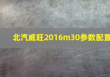 北汽威旺2016m30参数配置