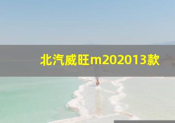 北汽威旺m202013款