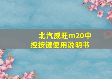 北汽威旺m20中控按键使用说明书