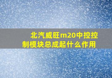 北汽威旺m20中控控制模块总成起什么作用