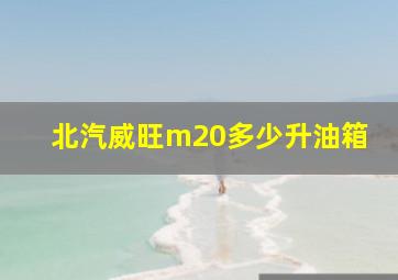 北汽威旺m20多少升油箱