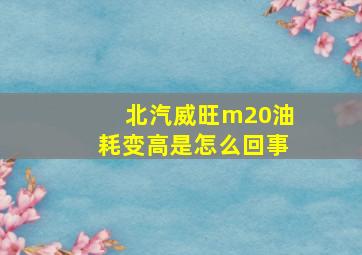 北汽威旺m20油耗变高是怎么回事