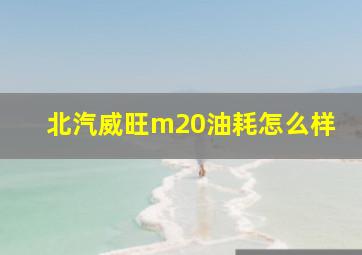 北汽威旺m20油耗怎么样