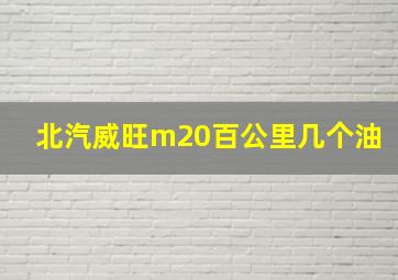 北汽威旺m20百公里几个油