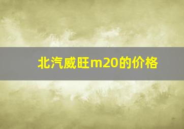 北汽威旺m20的价格