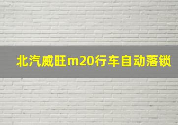 北汽威旺m20行车自动落锁