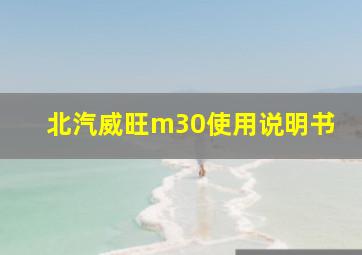 北汽威旺m30使用说明书