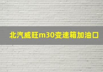 北汽威旺m30变速箱加油口