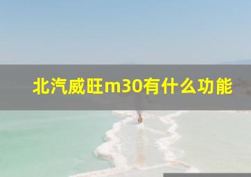 北汽威旺m30有什么功能